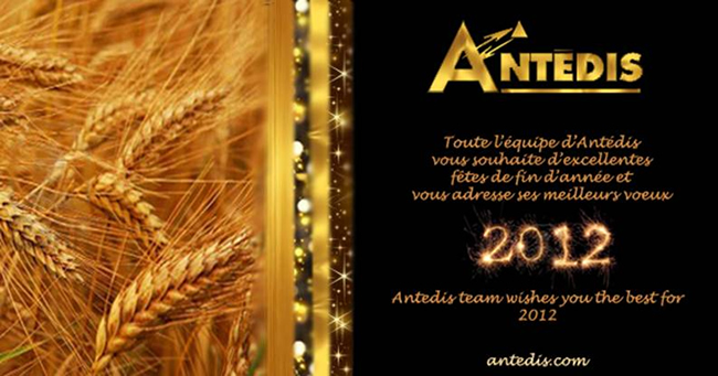 MEILLEURS V&OElig;UX 2012 | HAPPY NEW YEAR!