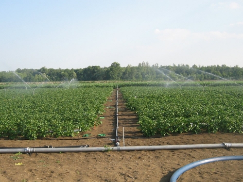 Water management: ANTEDIS can implement specific micro-plot programming